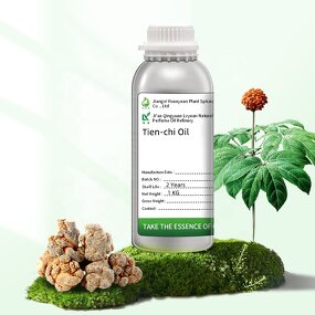 Tien-chi Oil Supplier - Tienchi Root Extract