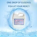 Eugenol Factory - 99% Plant Extract for Aquaculture