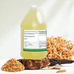 Wheat Germ Oil Supplier - Cold Pressed for Cosmetics