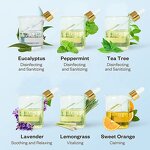 Camellia Seed Oil Factory - Pure Natural Cold Press