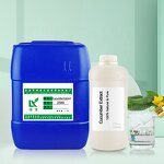 Cucumber Extract Manufacturer - Organic for Cosmetic