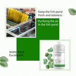 Cineole Supplier - Natural for Aquaculture