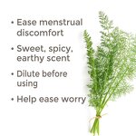 Fennel Organic Essential Oil Supplier - For Pain and Skin
