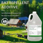 Peppermint Oil Manufacturer - Halal Food Grade Bulk