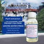 Clove Oil Manufacturer - 85% for Fish Stabilizer