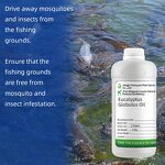 Eucalyptus Oil Manufacturer - 80% for Aquaculture