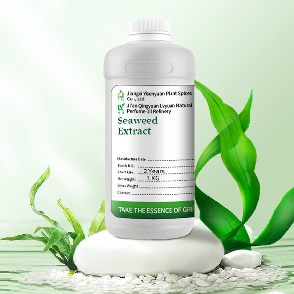 Seaweed Extract Supplier - Agriculture Fertilizers