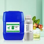 Camellia Seed Oil Factory - Pure Natural Cold Press