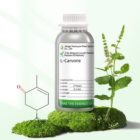 L(-)-Carvone Manufacturer - For Food additive Candy