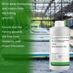 Eucalyptus Essential Oil Manufacturer - For Aquatic Breeding