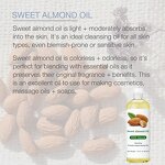 Sweet Almond Oil Supplier - Private Label Hexane Free