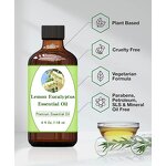 Eucalyptus Citriodora Oil Supplier - Halal for Mosquito Repellent