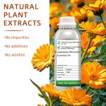 Calendula Oil Supplier - Nourishing for Skin Care