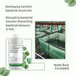 Cineole Supplier - Natural for Aquaculture