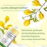 Ylang Ylang Oil Factory - For Body Massage Aromatherapy