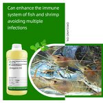 Oregano Oil Factory - 100% for Shrimp Aquaculture