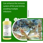 Oregano Oil Manufacturer - 80 Carvacrol for Aquaculture
