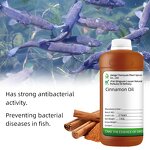 Cinnamon Bark Oil Factory - Organic for Aquaculture
