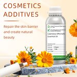 Calendula Oil Supplier - Nourishing for Skin Care