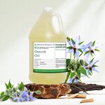 Borage Seed Oil Supplier - Cold Pressed Carrier Oil