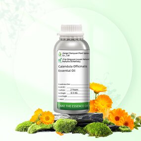 Calendula Oil Supplier - Nourishing for Skin Care