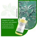 Oregano Oil Factory - 100% for Shrimp Aquaculture