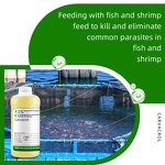 Oregano Oil Manufacturer - 80 Carvacrol for Aquaculture