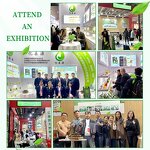 Sweet Cherry Fragrance Oil Factory - For Diffusers Humidifiers