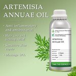 Artemisia Vulgaris Oil Manufacturer - Steam Distilled
