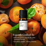 Tangerine Peel Oil Factory - Cold Pressed Skin Whitening