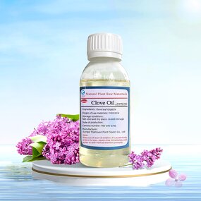 Clove Oil Manufacturer - 85% for Fish Stabilizer