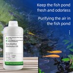 Eucalyptus Oil Manufacturer - 80% for Aquaculture