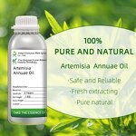 Artemisia Vulgaris Oil Manufacturer - Steam Distilled