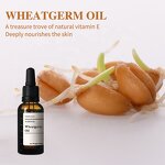Wheat Germ Oil Supplier - Cold Pressed for Cosmetics