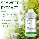 Seaweed Extract Supplier - Agriculture Fertilizers