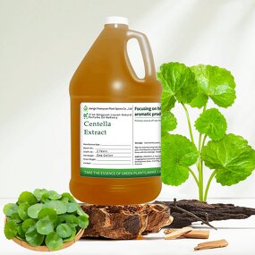 Centella Asiatica Extract Factory - Liquid Hydrosol