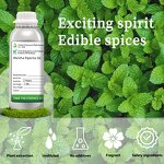 Peppermint Oil Manufacturer - Halal Aromatic Essential