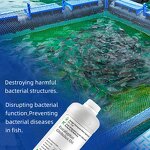 Eucalyptus Oil Manufacturer - 80% for Aquaculture