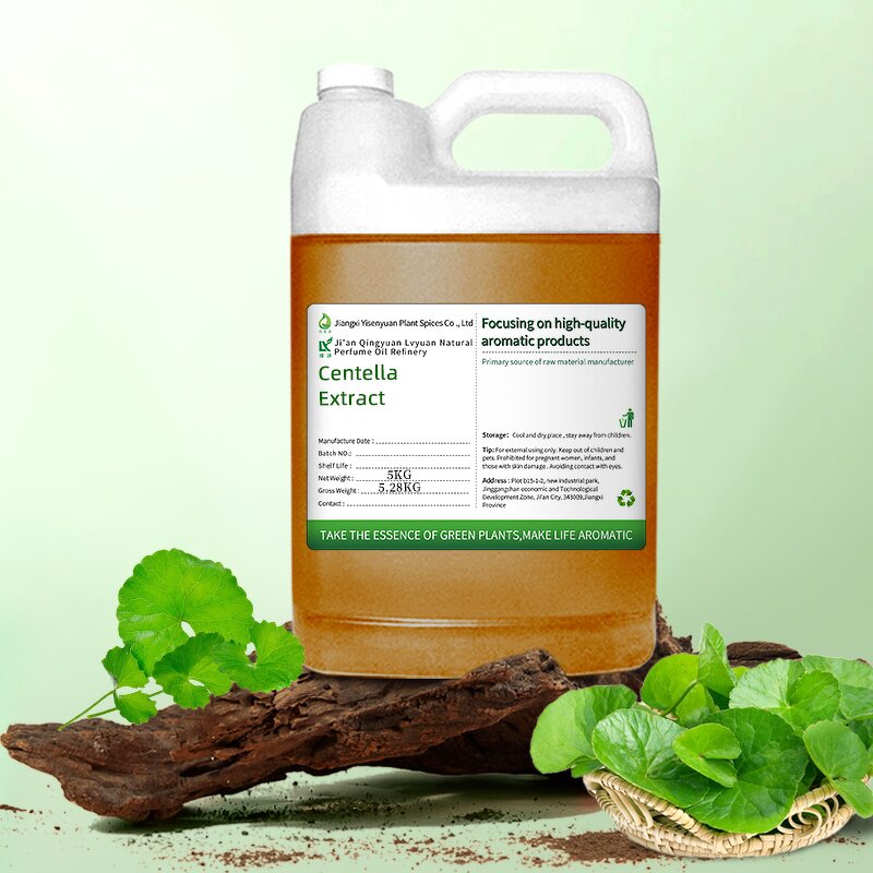 Centella Asiatica Extract Manufacturer - For Natural Cosmetic