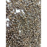 Monoammonium Phosphate Manufacturer - Wholesale 12-61-0 MAP