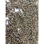 Semi Coke Supplier - Steel Casting Foundry Metallurgical