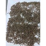 Semi Coke Supplier - Steel Casting Foundry Metallurgical