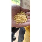 Monoammonium Phosphate Supplier - 12-61-0 Water Soluble