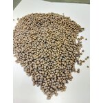 Semi Coke Factory - Low Price 5-20mm