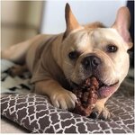 Dog Chew Toy Supplier - Tough Durable Ring Toy for Aggressive Chewers