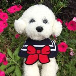 Pet Saliva Towel Factory - Adjustable Cute Collar Bib Scarf for Grooming