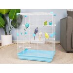 Budgie Cage Supplier - Large Villa Metal Viewing Cage Bird House