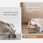 Elevated Cat Bowl Manufacturer - 15° Tilted Raised Wood Stand Anti Vomiting Bowl