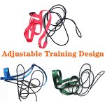 Parrot Harness Factory - Flying Traction Rope Training Walking Leash Wholesale