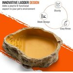 Reptile Dish Manufacturer - Resin Rock Feeder Bowl Water Food Dish Terrarium Decor
